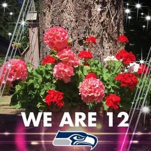 Meet your Posher, Pattie